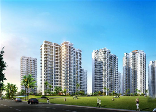 一只鲍鲍汁焖鸡