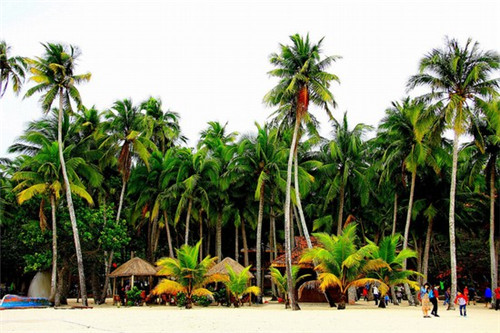 卢小七辣酱拌面