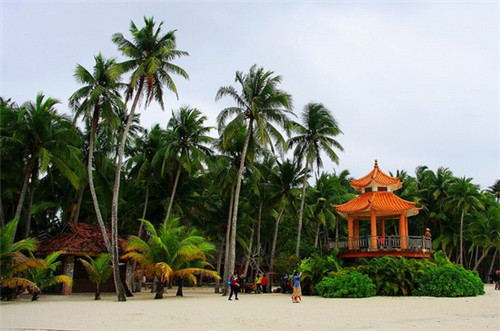 喵的寿司日式料理