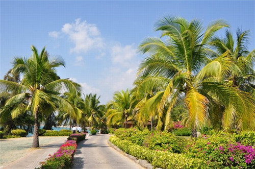 在鸡泽县加盟九龙冰室茶餐厅店竞争大吗，在鸡泽县加盟奶茶开店后多久可以盈利