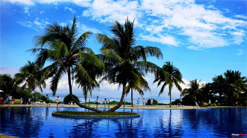 川澄健寿司加盟在平原县开店多久回本