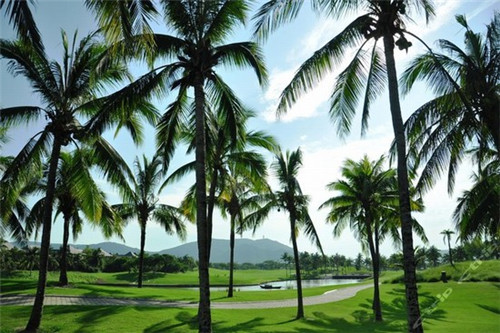 爱辣屋水煮肉片加盟靠不靠谱