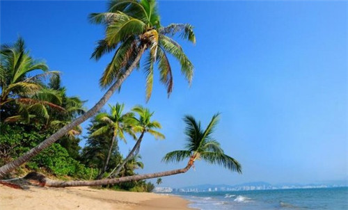 场口包子加盟费多少