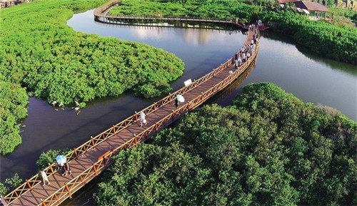 蒲江县儿童面霜加盟投资开店哪些品牌比较火爆