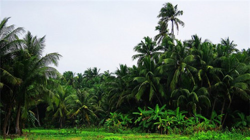 当妈后的十大坏事是什么（当妈后的心酸）