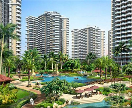 部落种树小游戏怎么玩（部落种树小游戏怎么玩视频）