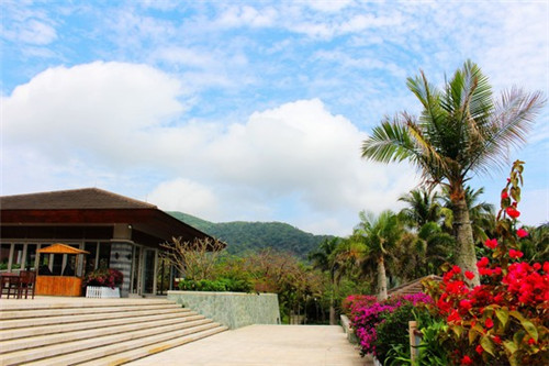 美林谷风景区夏天的图片简单（美林谷景区地图）