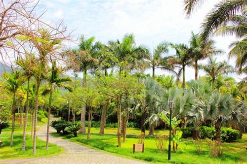 江都市鱼油加盟十大免费加盟项目，江都鱼酷